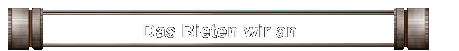 Das Bieten wir an